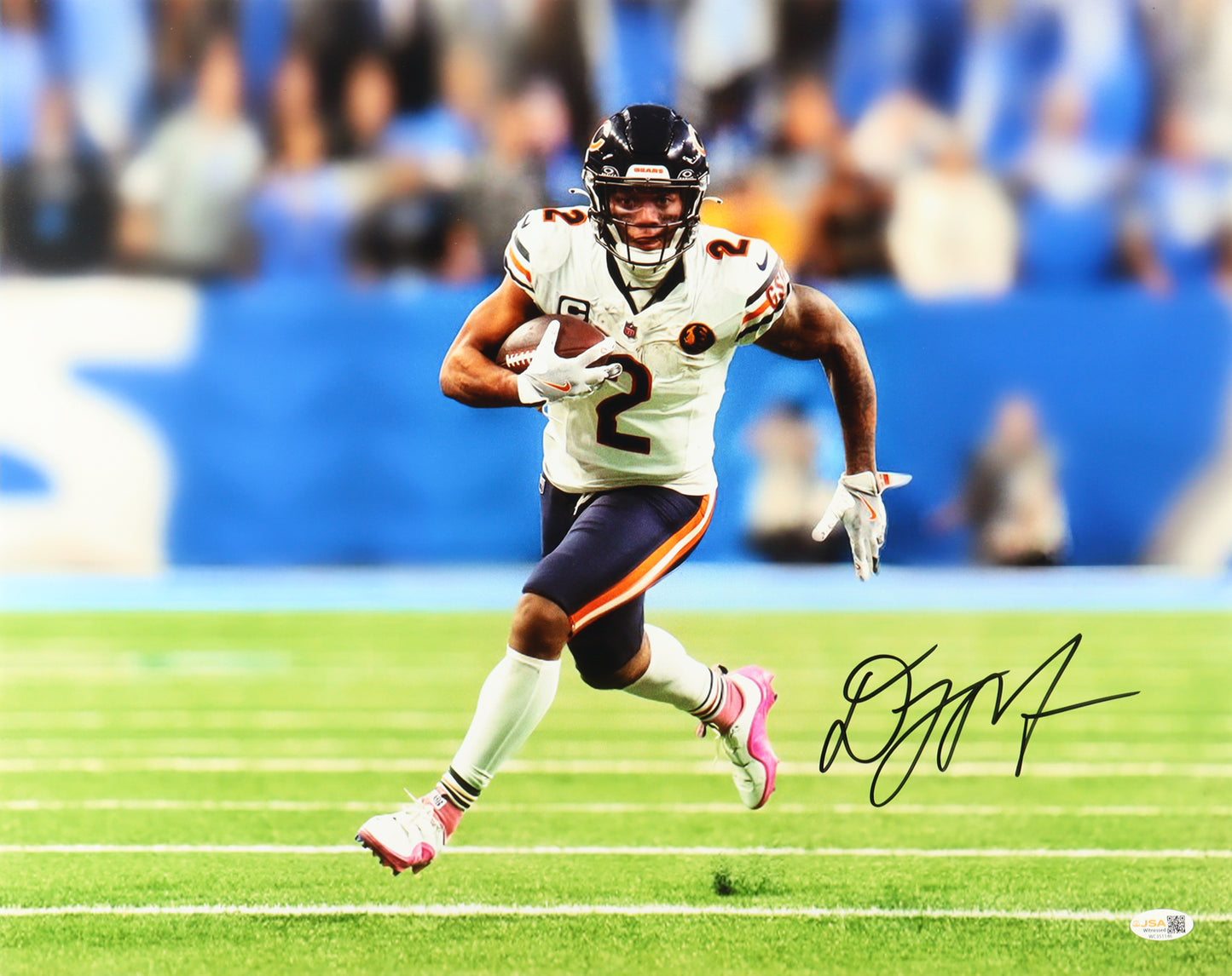 D. J. Moore Signed (JSA) Bears 16x20 Photo - JSA Witnessed