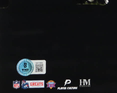Richard Seymour Signed Patriots 16x20 Photo (Beckett) - Beckett Witnessed