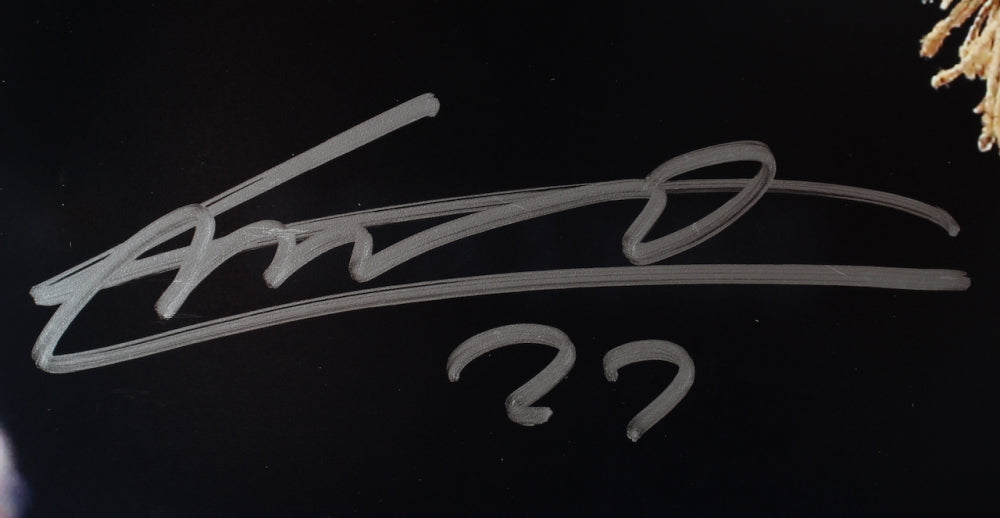 Vladimir Guerrero Jr. Signed Blue Jays 16x20 Photo (JSA COA & USA SM COA)