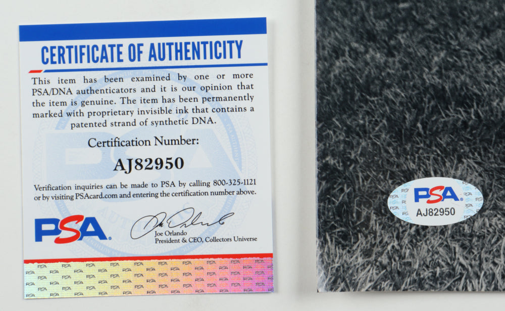 Rocky Colavito Signed Tigers 11x14 Photo (PSA)