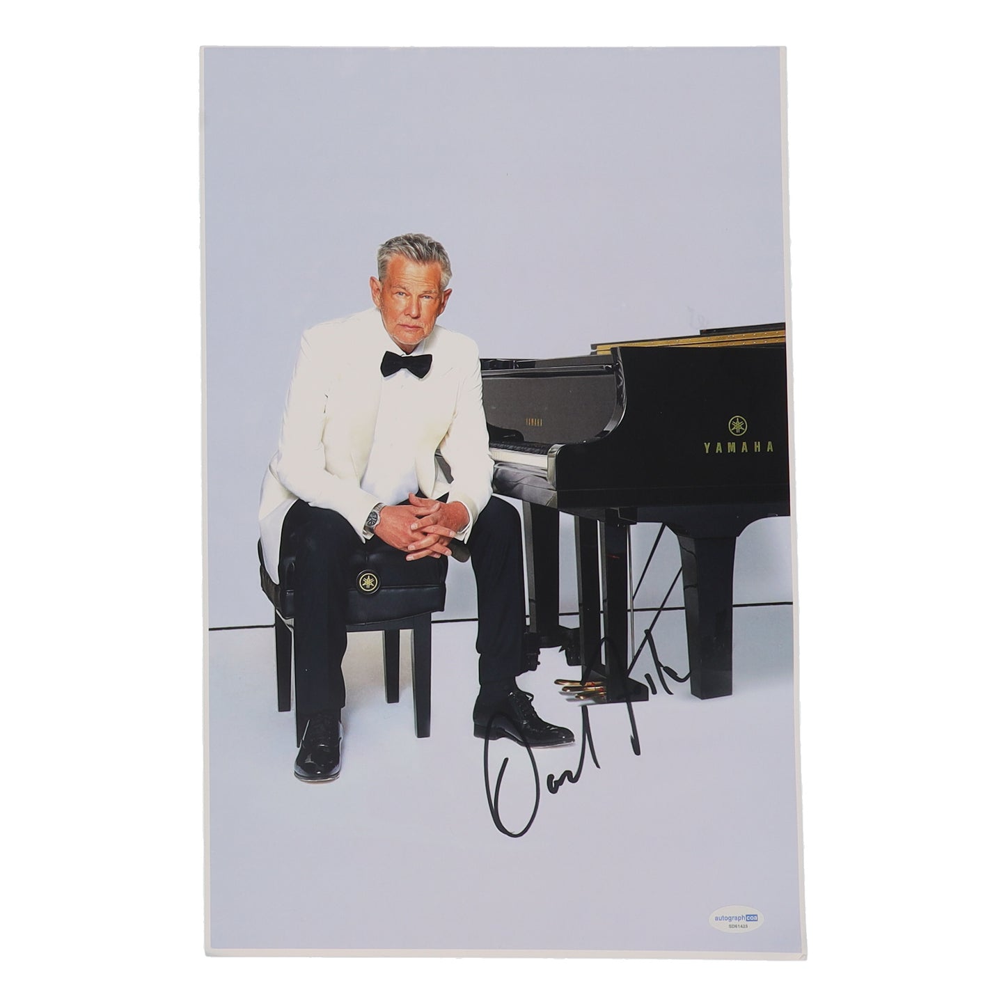 David Foster signed 11x17 Photo (ACOA)