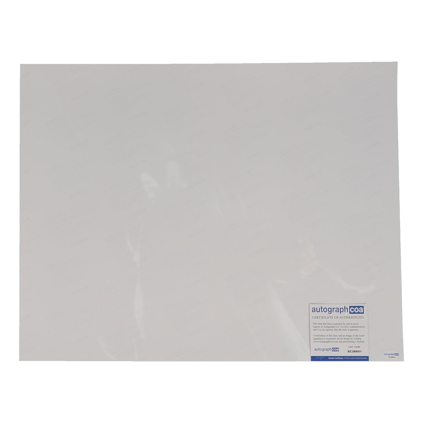 Muse Watson Signed (ACOA) "I Know What You Did Last Summer" 16x20 Photo