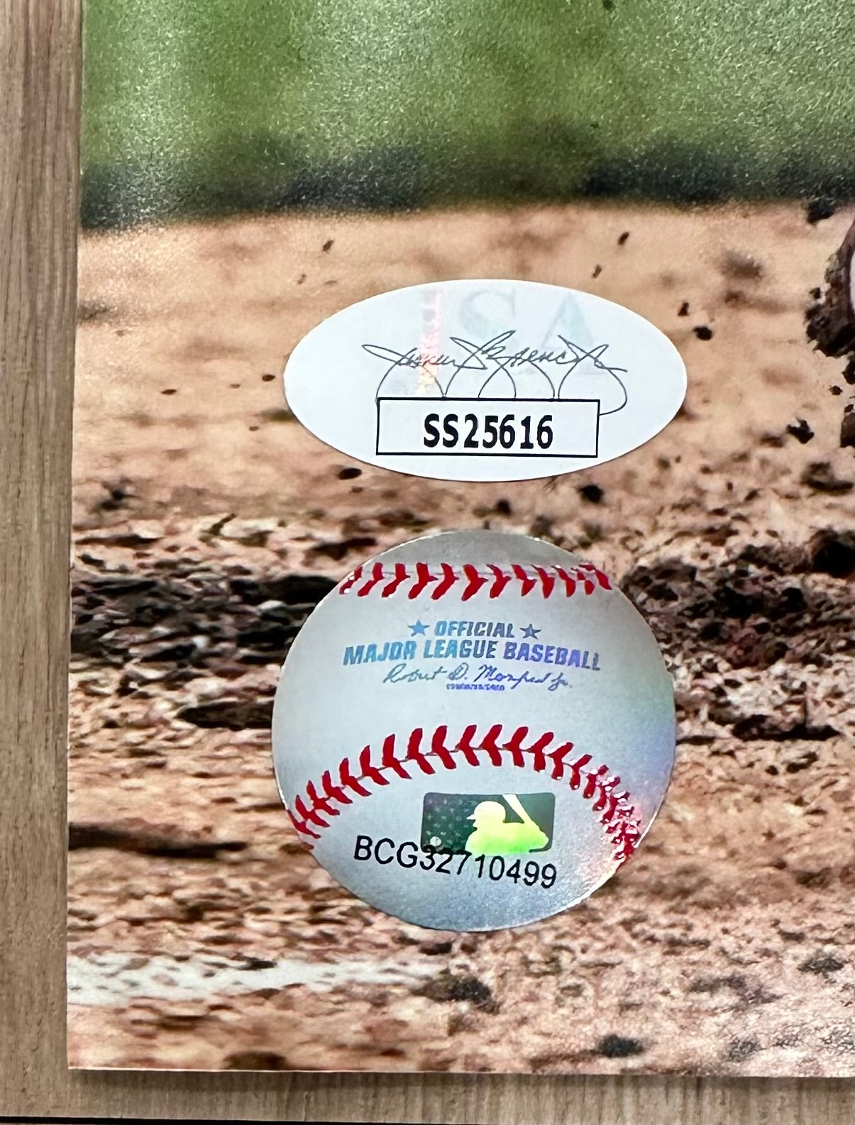 Vladimir Guerrero Jr. Signed (JSA) Blue Jays 16x20 Photo