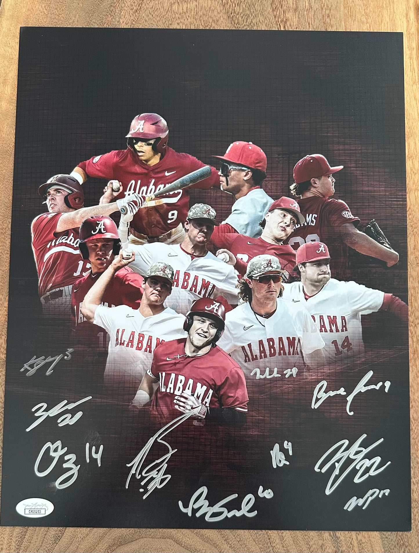 Alabama Crimson Tide 11x14 Photo Team-Signed (JSA) by (10) with Kade Snell, Bryce Fowler, Will Hodo, Will Plattner
