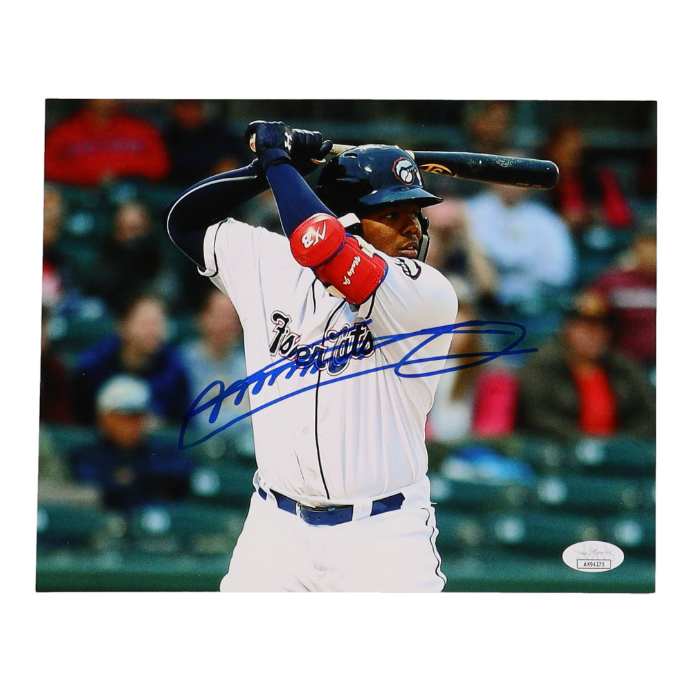 Vladimir Guerrero Jr. Signed Blue Jays 8x10 Photo (JSA)