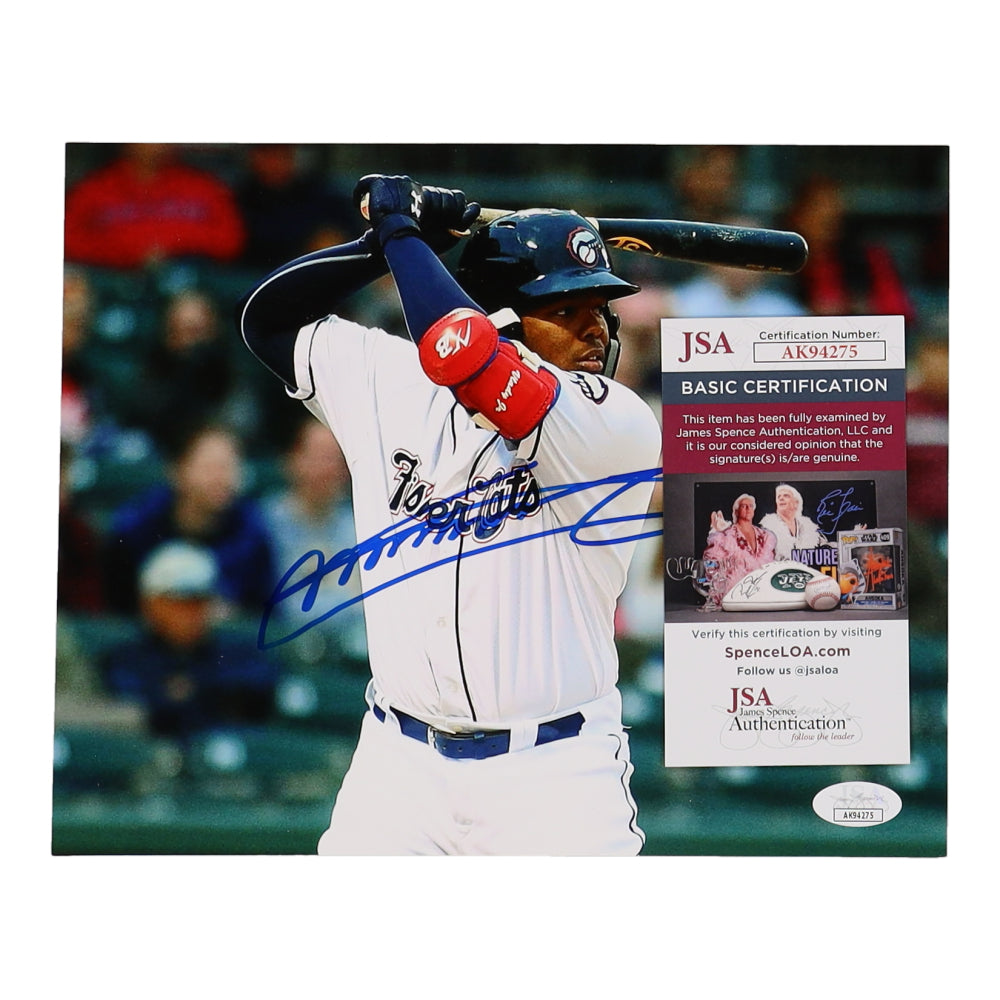 Vladimir Guerrero Jr. Signed Blue Jays 8x10 Photo (JSA)