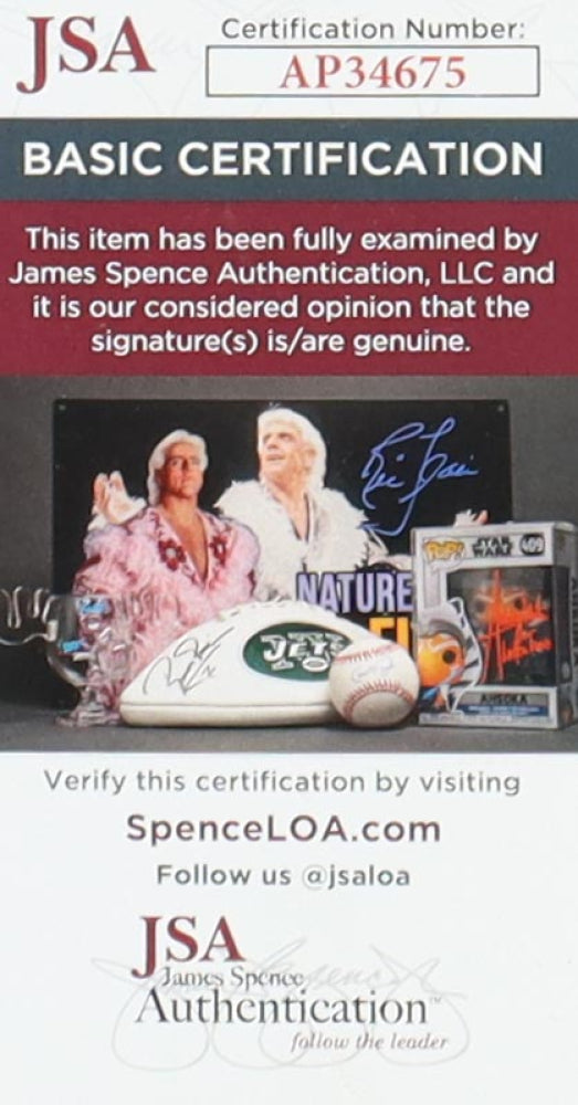 Neal Doughty & Kevin Cronin signed (JSA) REO Speedwagon Custom Framed "Nine Lives" Vinyl Album Cover Display