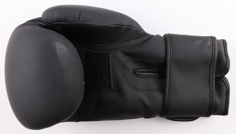 Jerome "Geronimo" Le Banner Signed (JSA)  Rinkage Boxing Glove Inscribed "K-1"