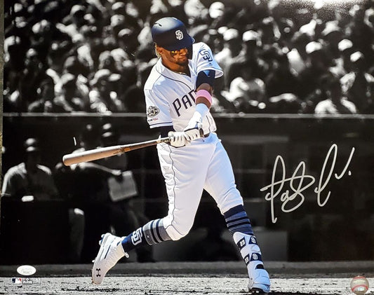 Fernando Tatis Jr. Signed (JSA COA) San Diego Padres 16x20 Photo