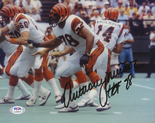 Anthony Munoz Signed (PSA COA) Bengals 8x10 Photo Inscribed "HOF 98"