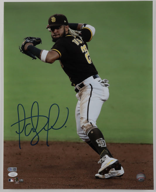 Fernando Tatis Jr. Signed Padres 16x20 Photo (JSA & USA SM)