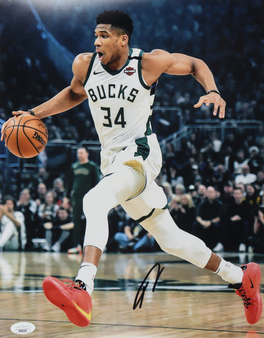 Giannis Antetokounmpo Signed Bucks 11x14 Photo (JSA)